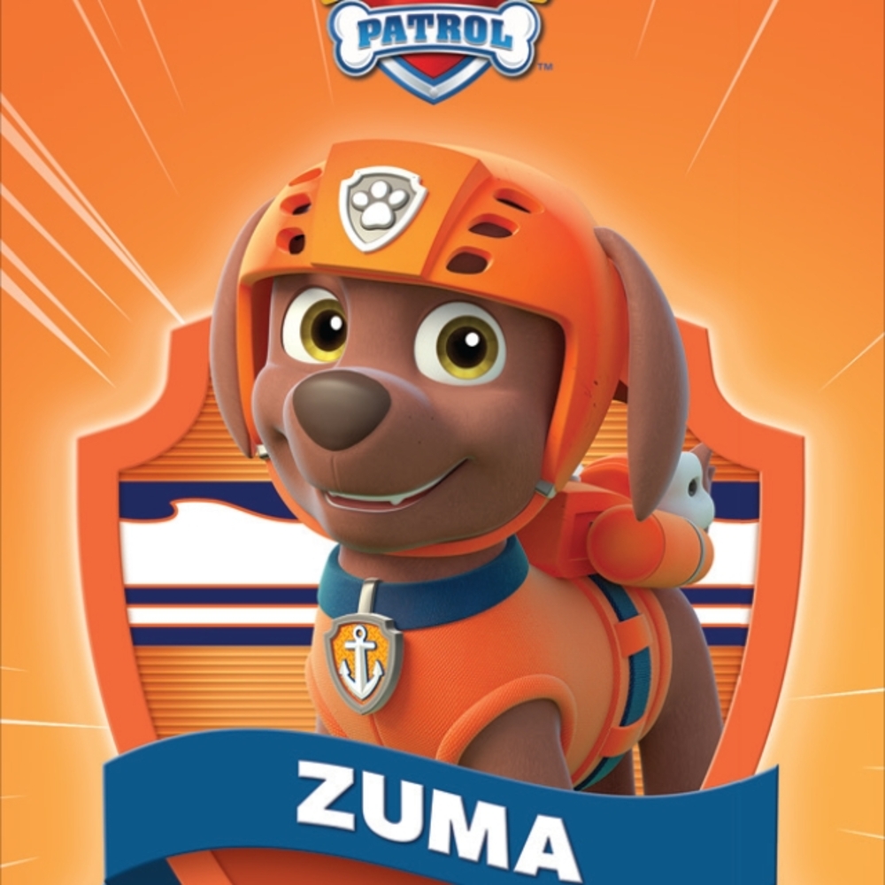 Yoto Player: Paw Patrol Pup Pack Audio Cards' - Picture 11 of 11